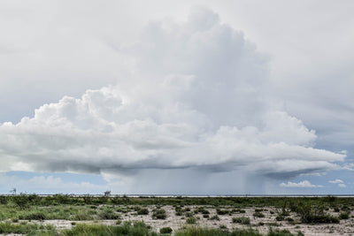 ISSUE 5: A PHOTOGRAPHIC BREAKDOWN OF 'NAMIBIAN RAINS'